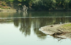 Правильная ссылка на блэкспрут через тор