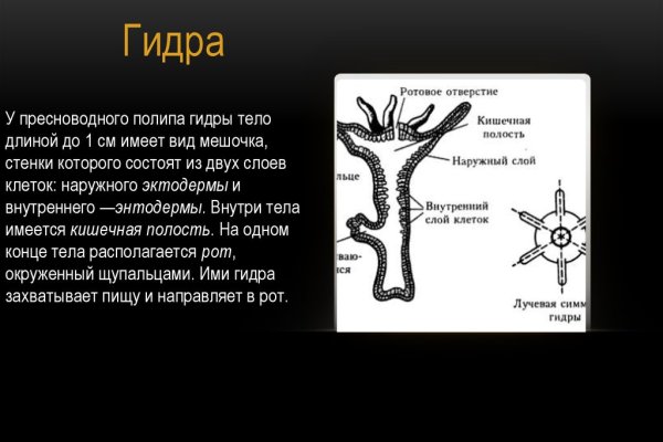 Как пополнить блэкспрут биткоином без комиссии