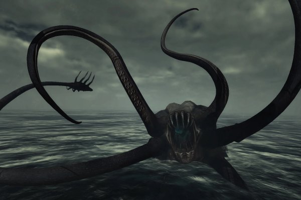 Kraken new