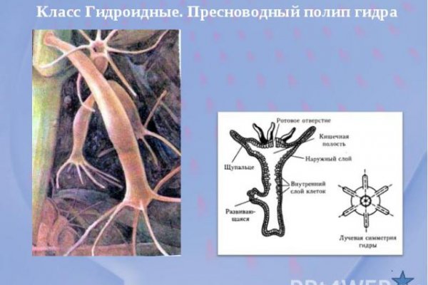 Оригинальная ссылка крамп